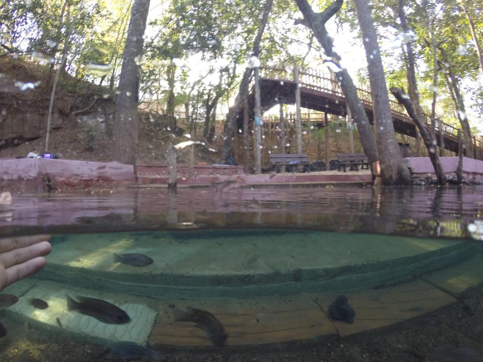 Park Veredas Flat Ao Lado Hot Park Acesso Ao Rio A3a2a5 * Rio Quente